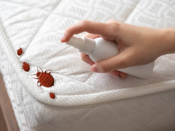 Best Organic or Eco-Friendly Pest Control  in Attica, MI